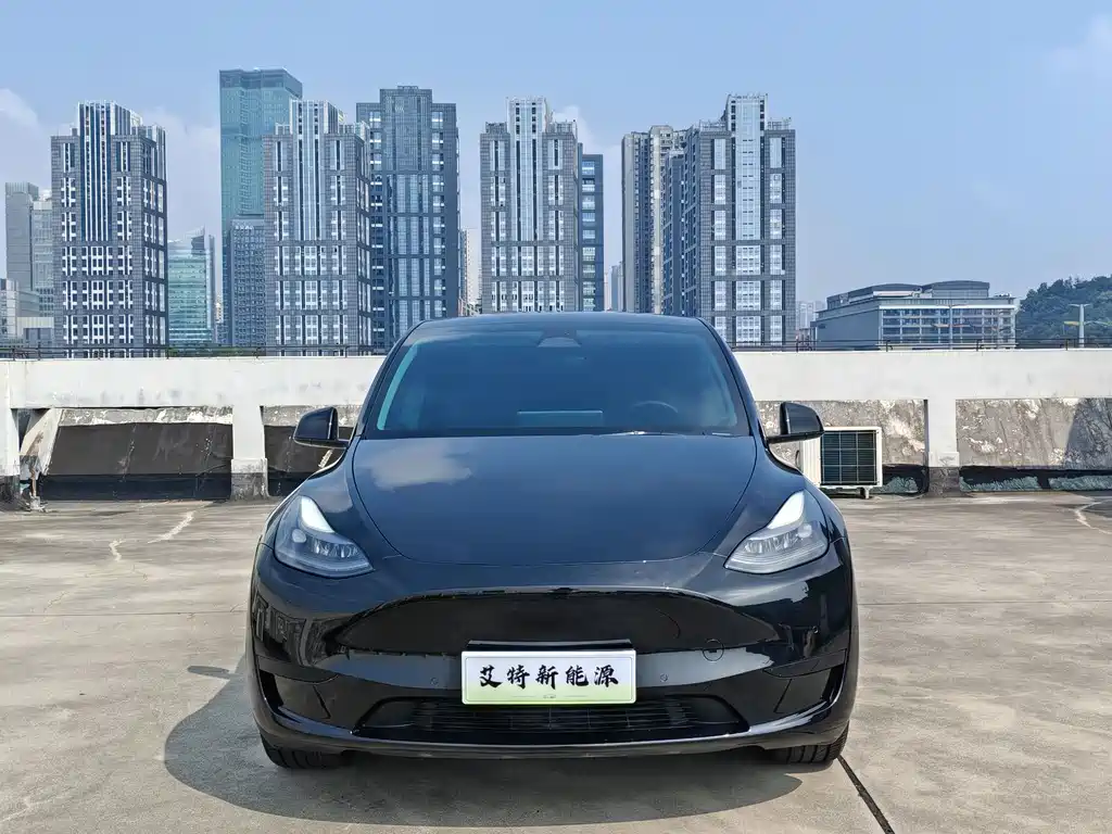 Tesla Model Y — миниатюра 2