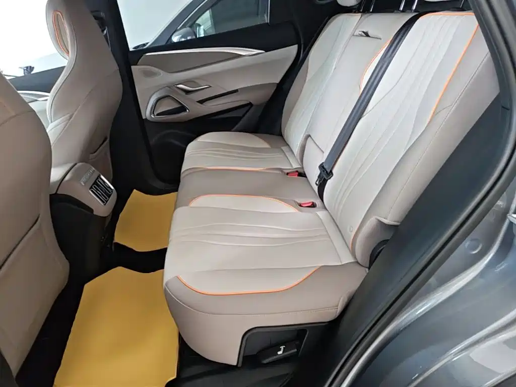 BYD Pro New Energy — миниатюра 17