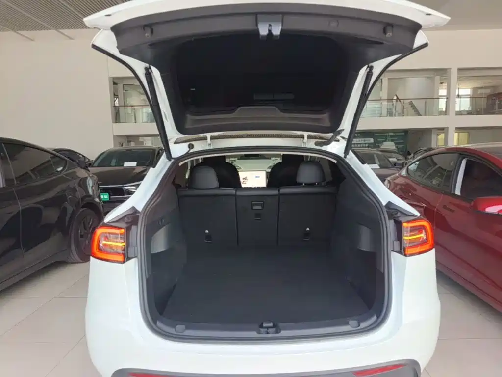 Tesla Model Y — миниатюра 19