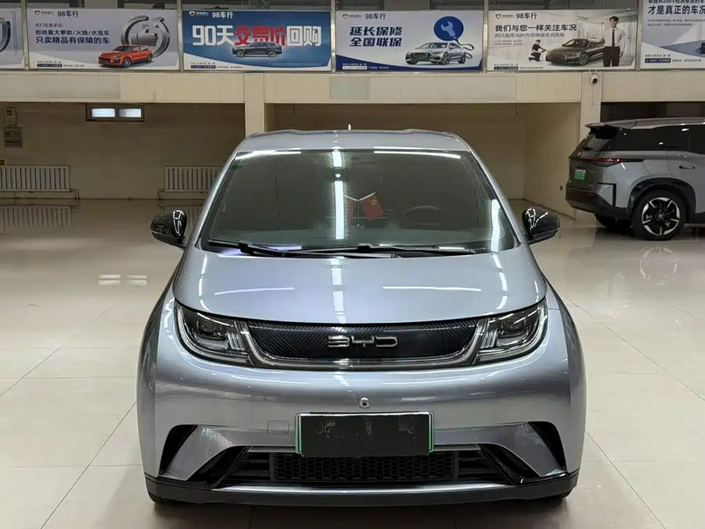 BYD Dolphin — миниатюра 2
