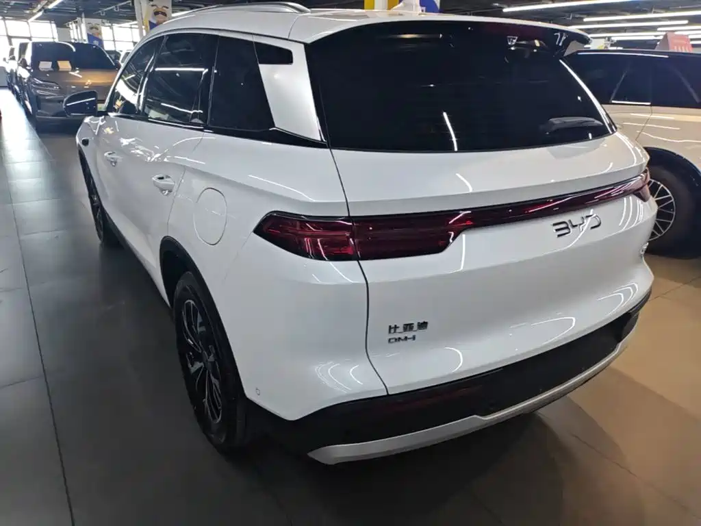 BYD Pro New Energy — миниатюра 5