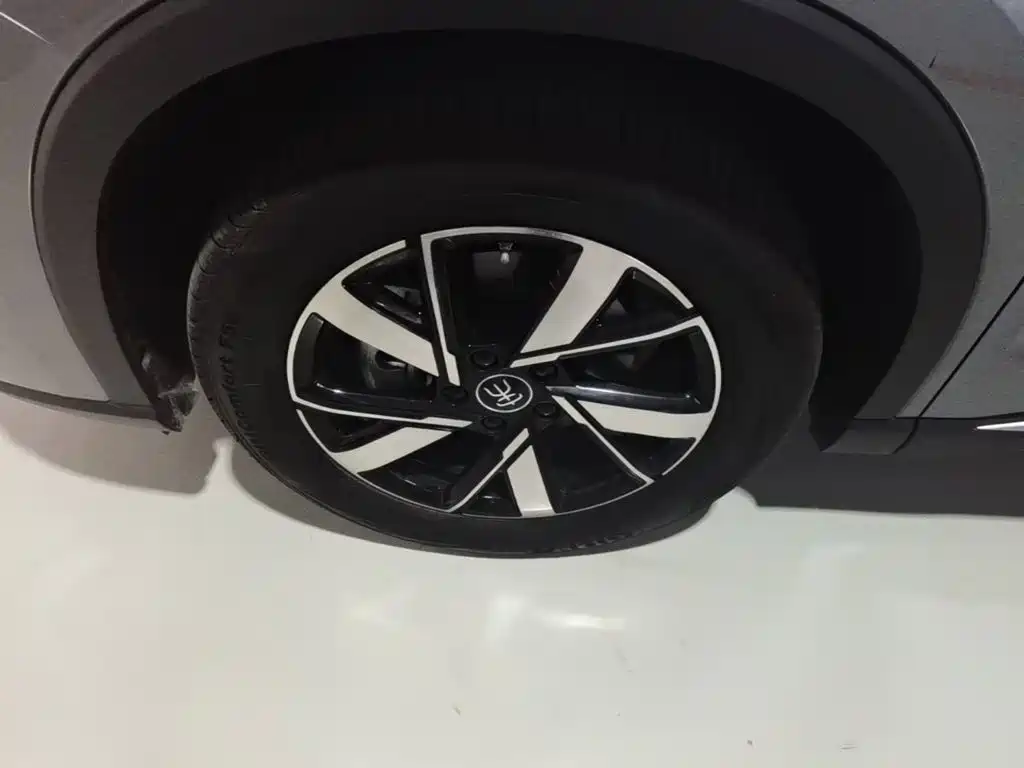 BYD Pro New Energy — миниатюра 23
