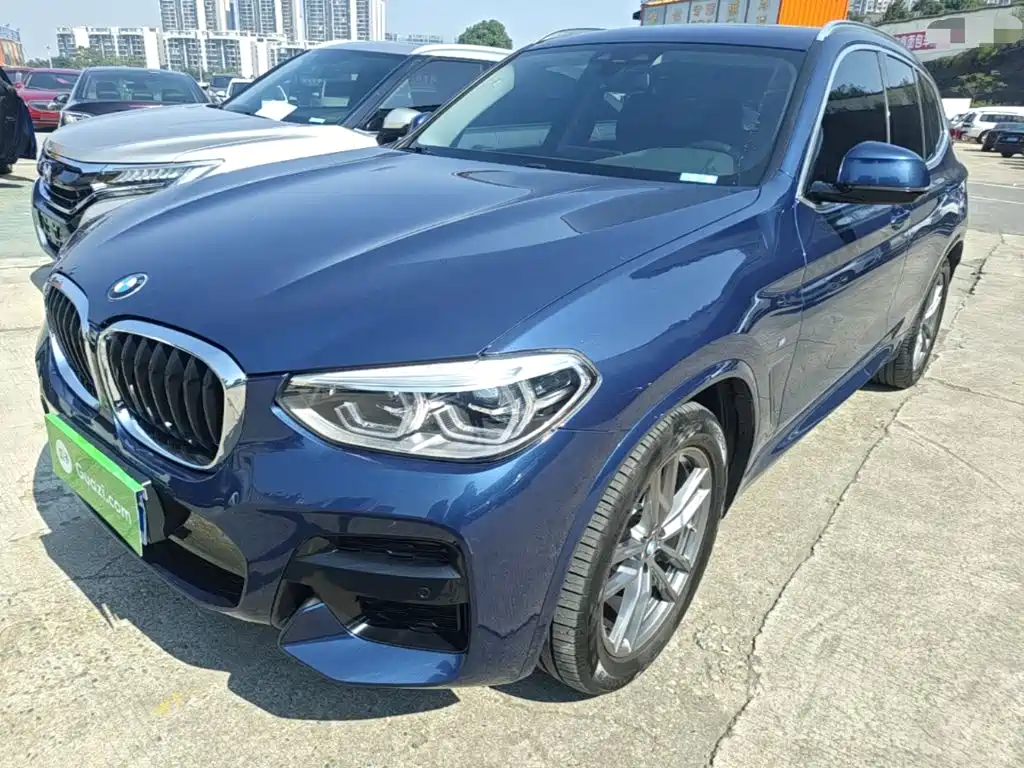 BMW X3 — миниатюра 2