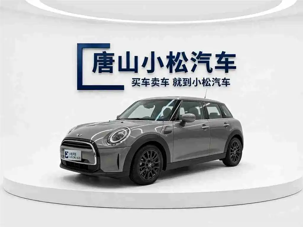 Mini Mini 2021