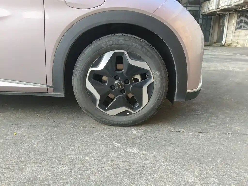 BYD Dolphin — миниатюра 25