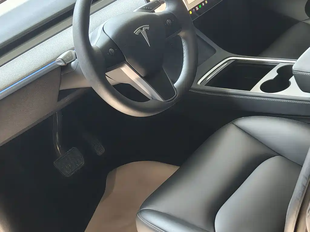 Tesla Model Y — миниатюра 4