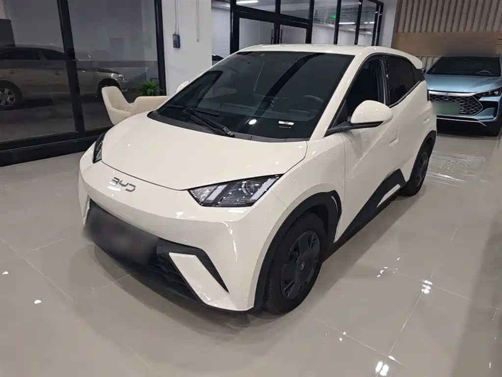 Byd Seagull 2024