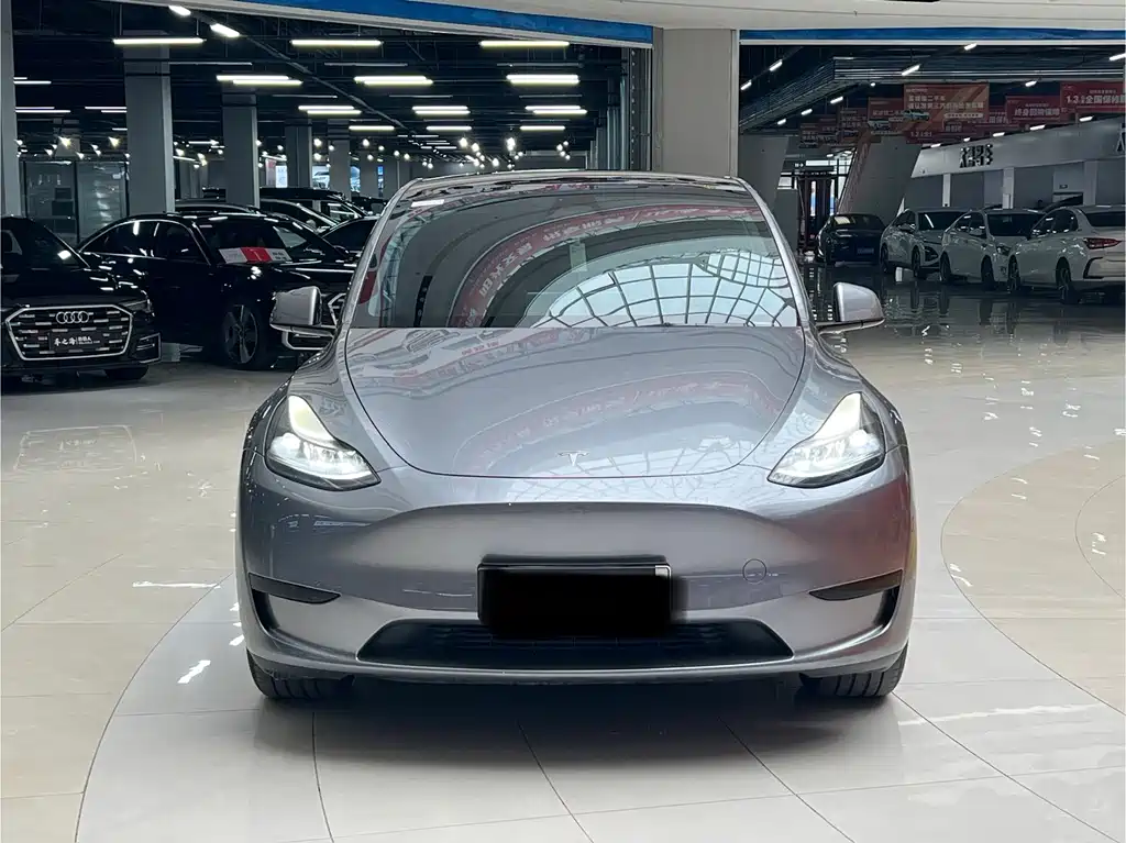 Tesla Model Y — миниатюра 2