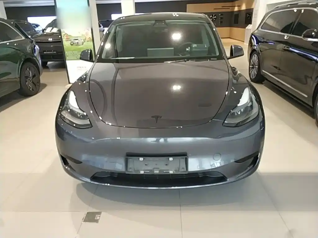 Tesla Model Y — миниатюра 3
