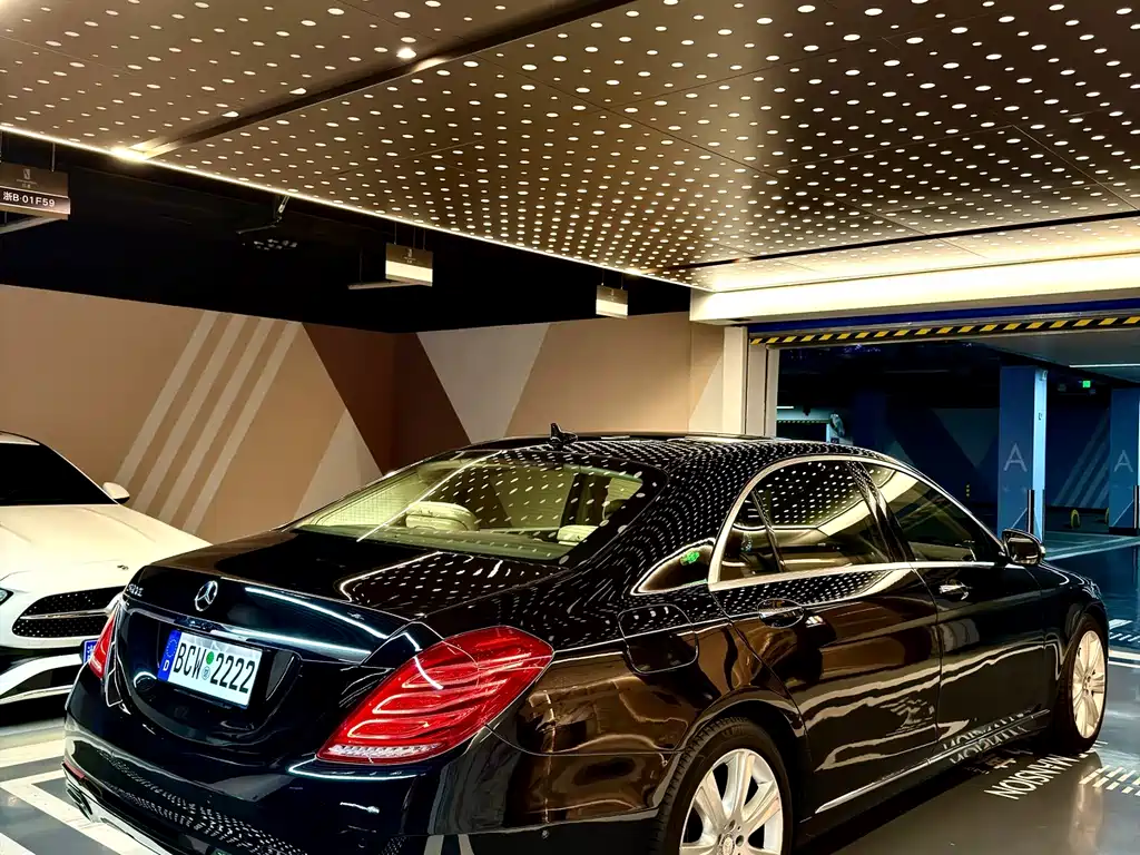 Mercedes-Benz S-Class S 400 L Luxury Type, фото 9