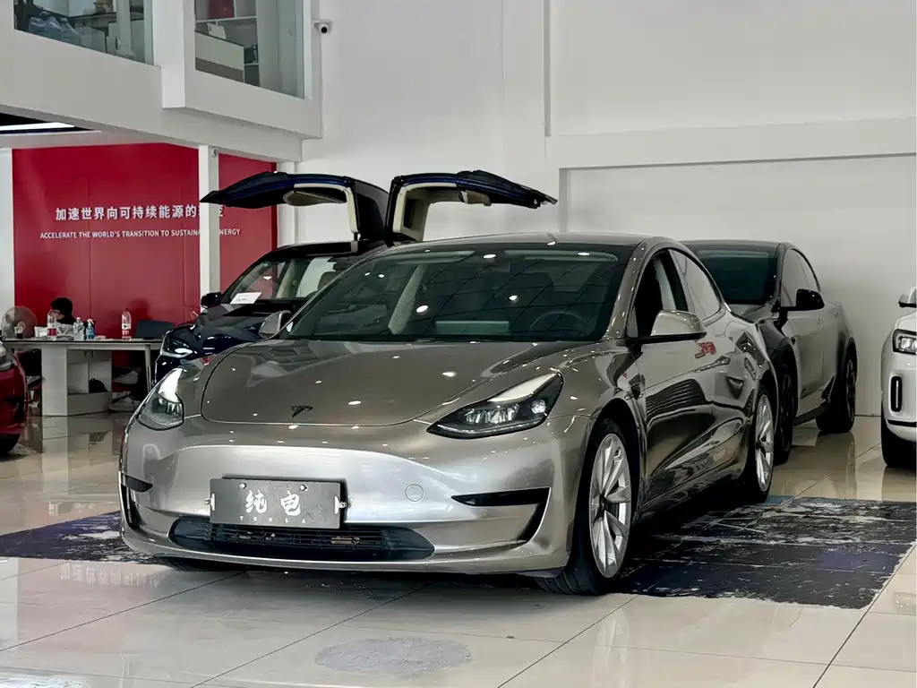 Tesla Model 3 2021