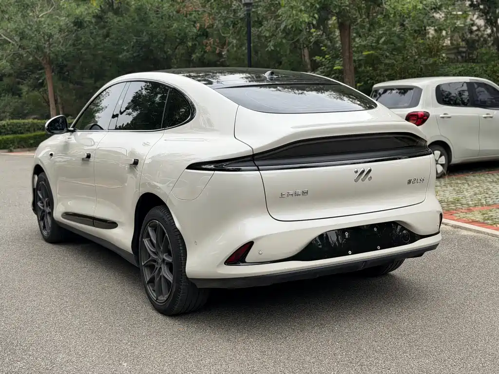 IM IM LS6 — миниатюра 9
