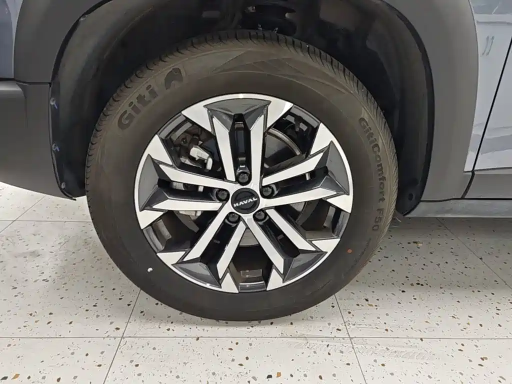 Haval Big Dog — миниатюра 23
