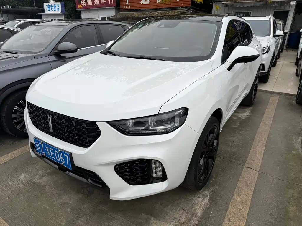 WEI PAI WEI BRAND VV5