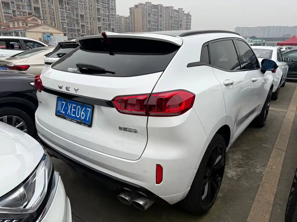 WEI PAI WEI BRAND VV5