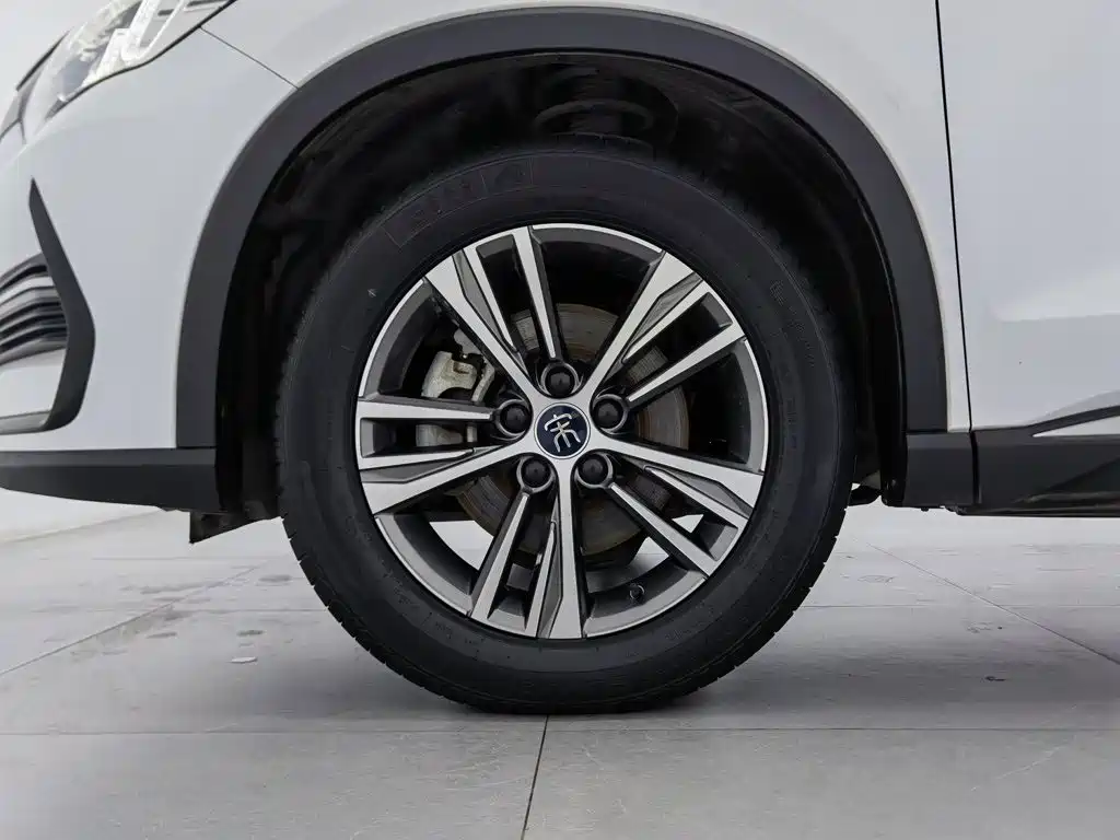BYD Pro — миниатюра 17