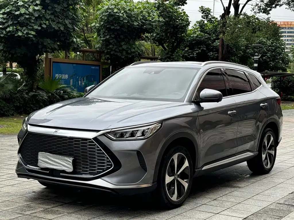 Byd PLUS New Energy 2021