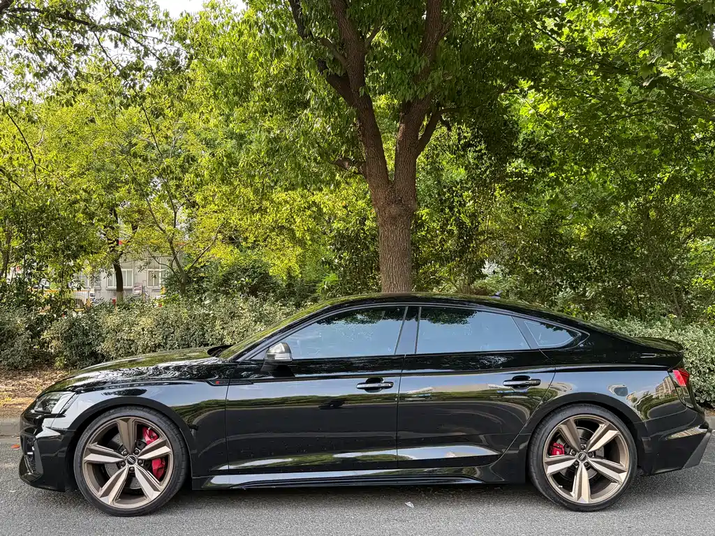 Audi RS 5 2023 RS 5 2.9T Sportback