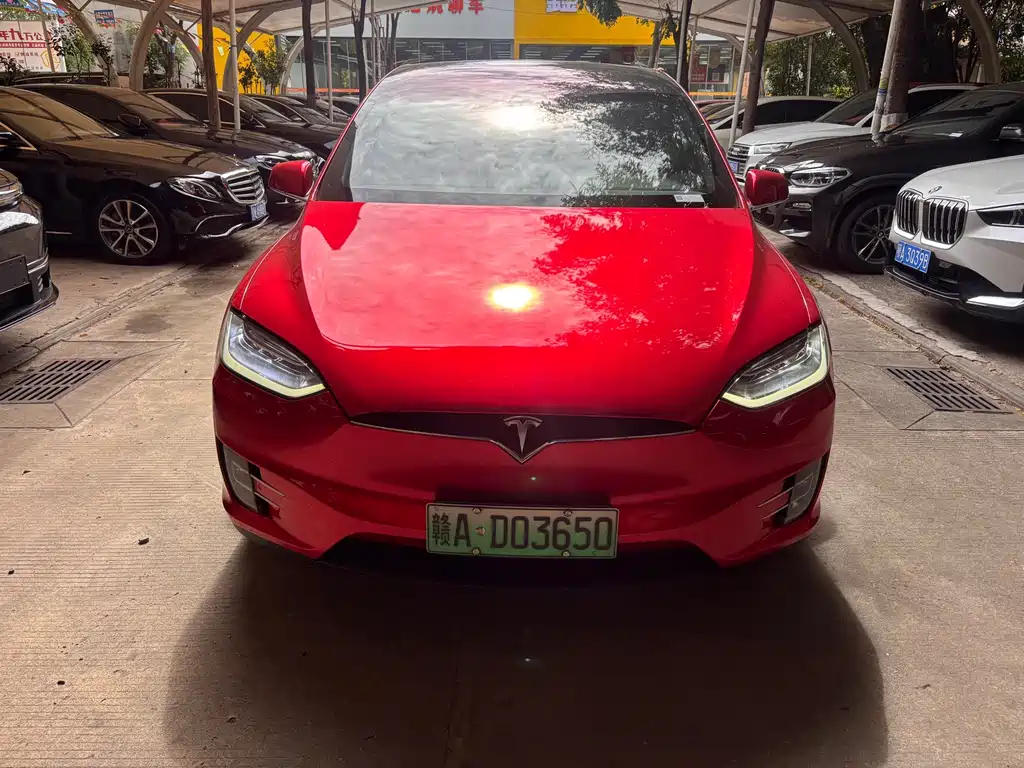 Tesla Model X — миниатюра 2