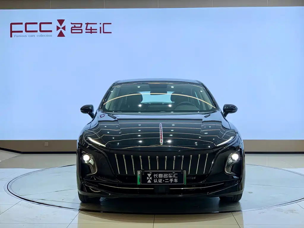 Hongqi HONGQI E QM5