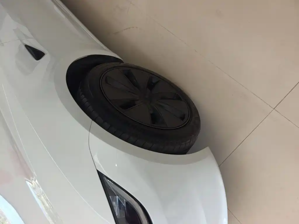 Tesla Model 3 — миниатюра 23