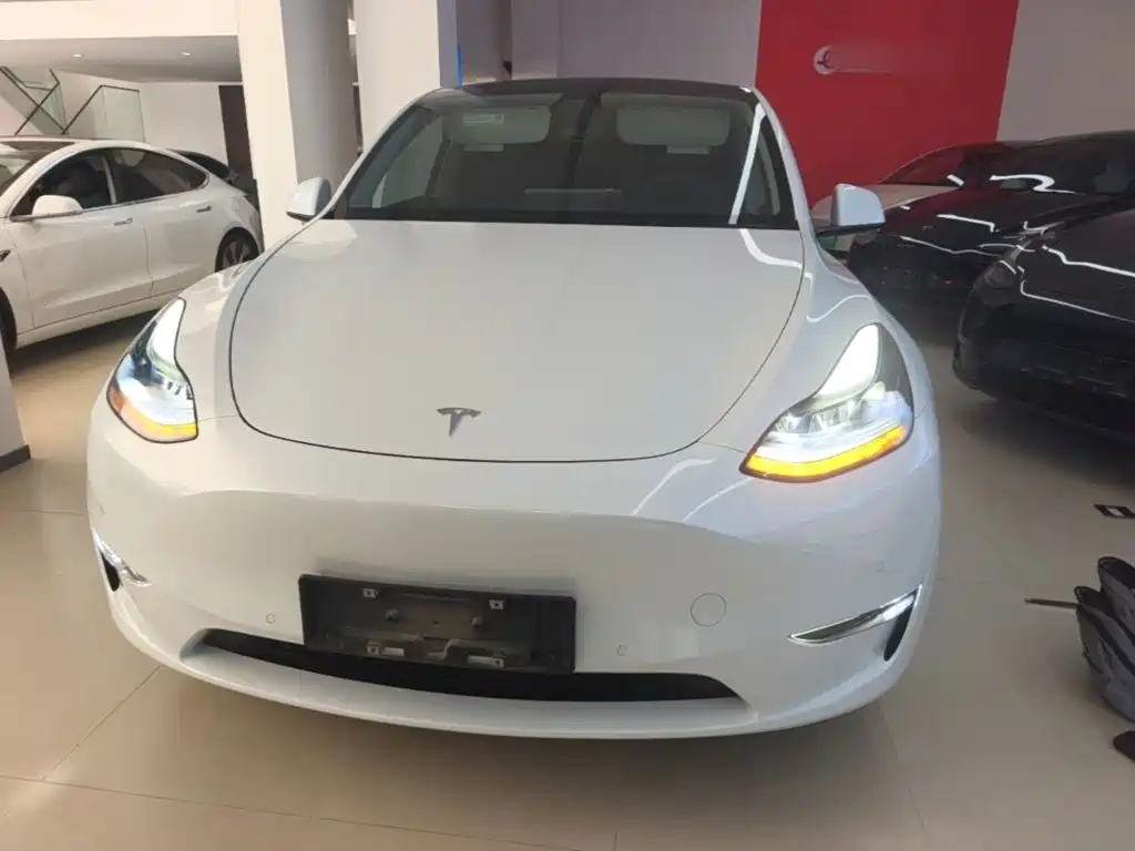 Tesla Model Y — миниатюра 3