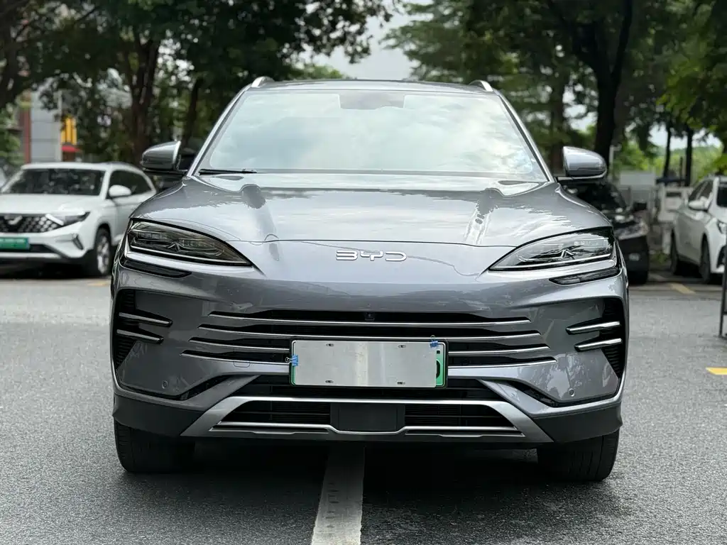 BYD PLUS — миниатюра 2