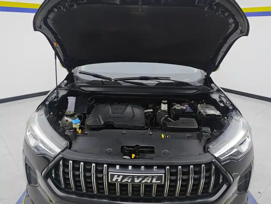 Haval Chitu — миниатюра 10