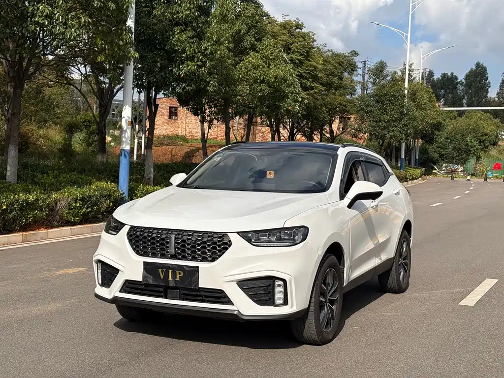 WEI PAI WEI BRAND VV5