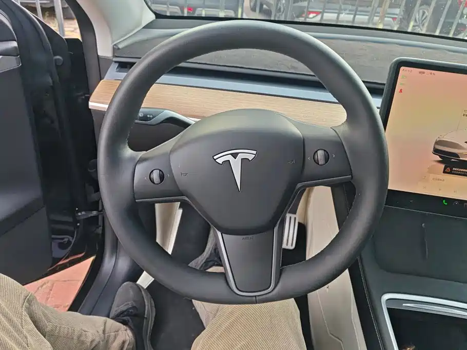 Tesla Model Y — миниатюра 14