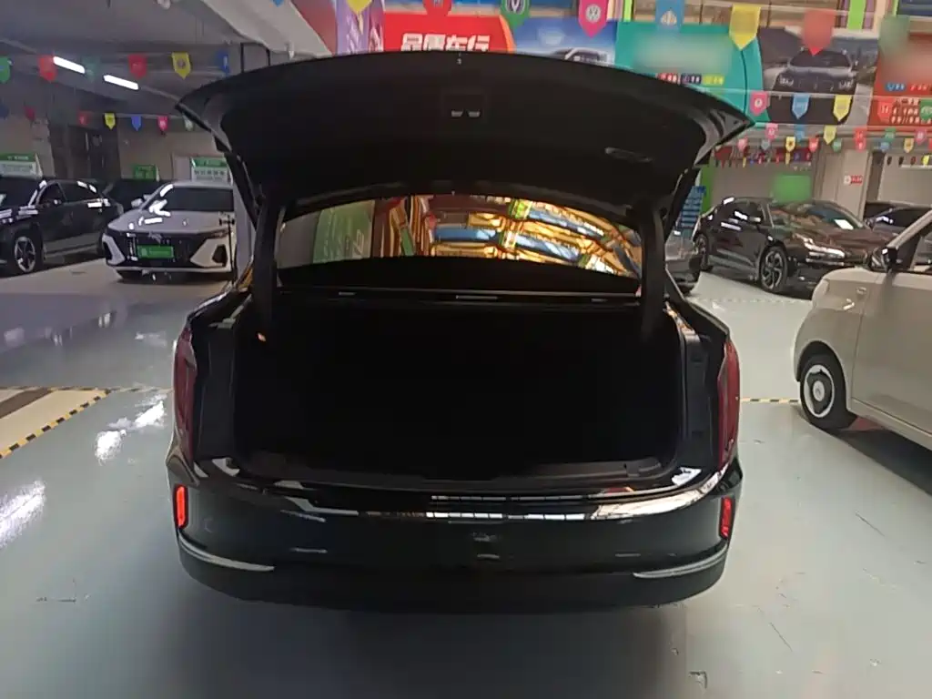 Hongqi Hongqi E-QM5 — миниатюра 19