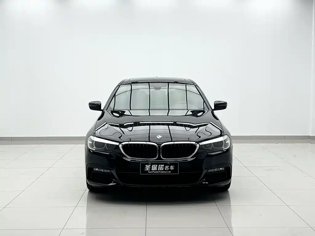 BMW 5 Series 5 2019 530Li Lead M Sport