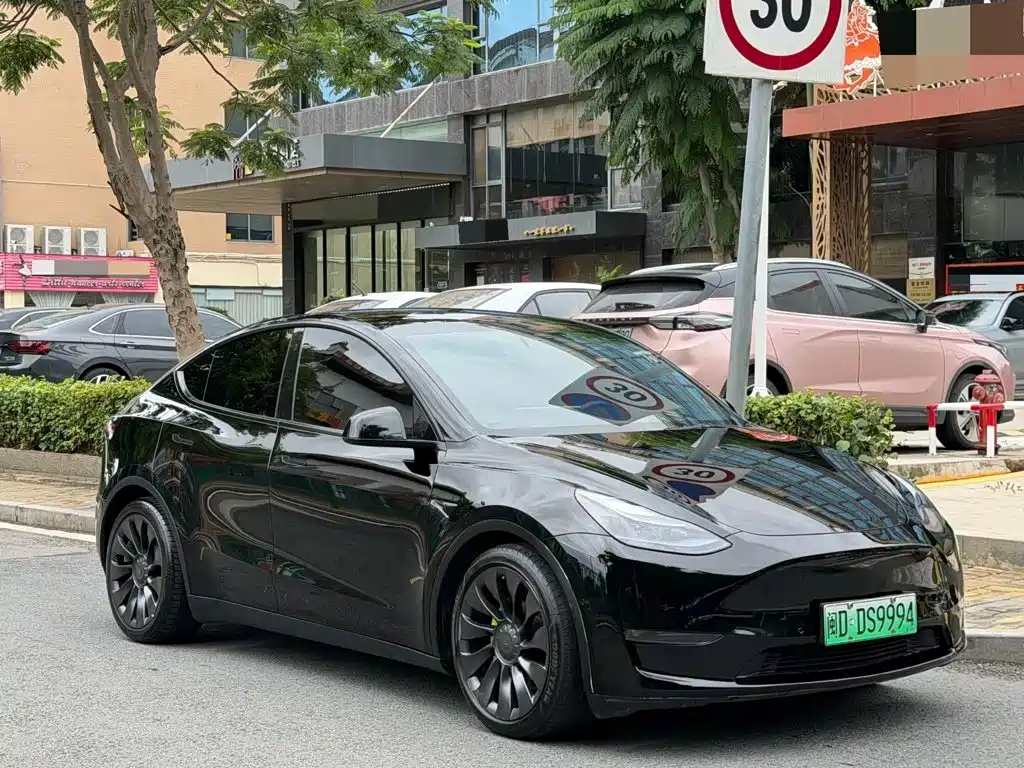 Tesla Model Y — миниатюра 3