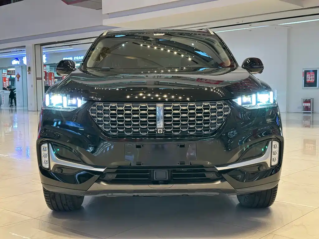 Wey Wey VV6 — миниатюра 2