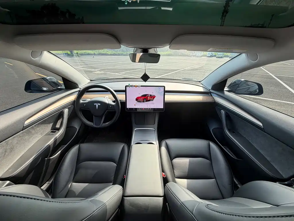 Tesla Model 3 — миниатюра 6