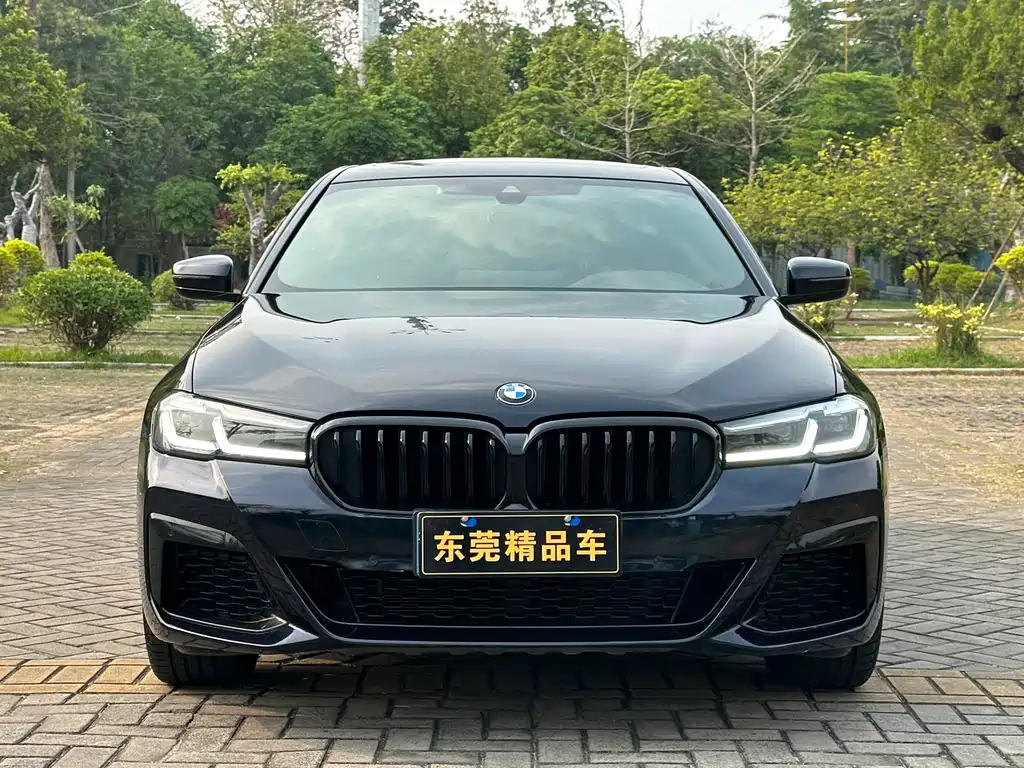 BMW 5 Series 5 2021 530Li Lead M Sport