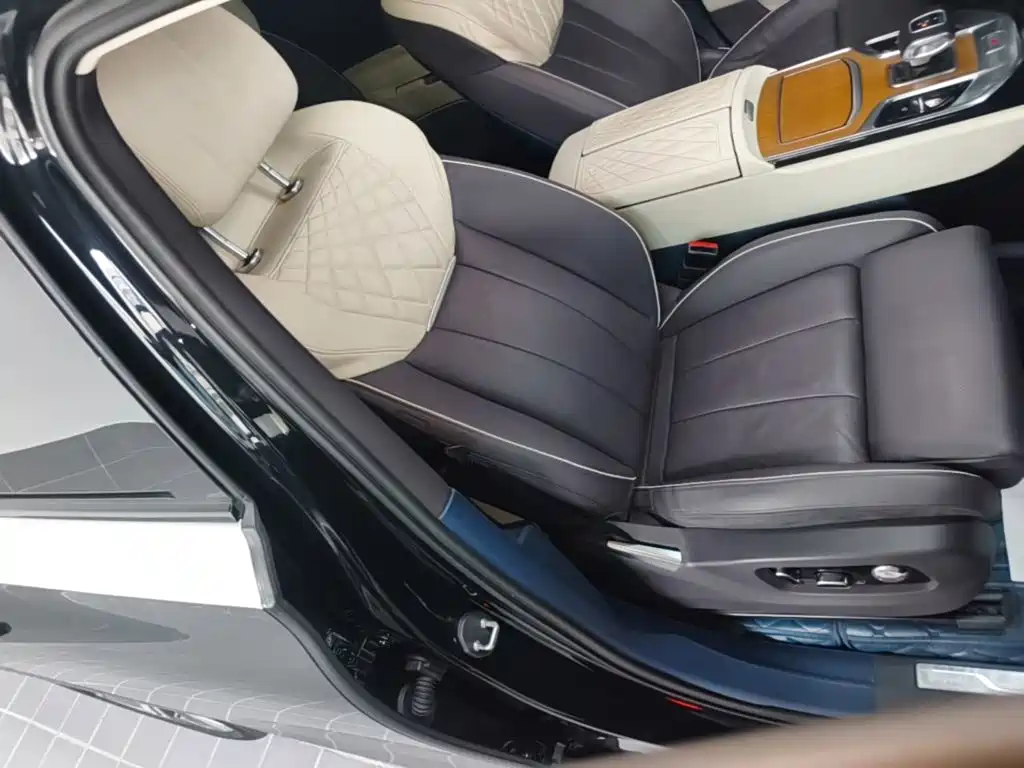 Hongqi Hongqi E-HS9 — миниатюра 25