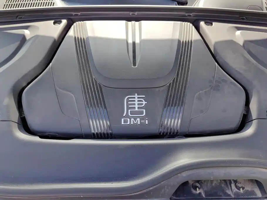 BYD Tang New Energy — миниатюра 10