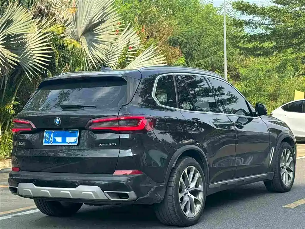 BMW X5 (Import) — миниатюра 9