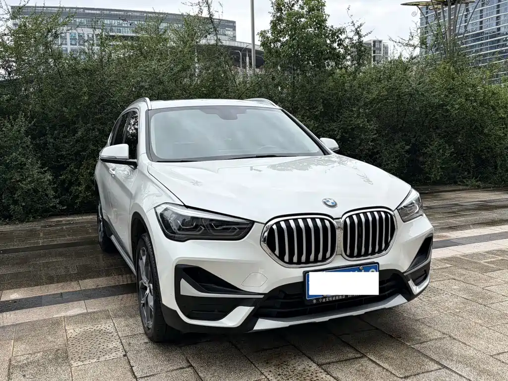 BMW X1 — миниатюра 2
