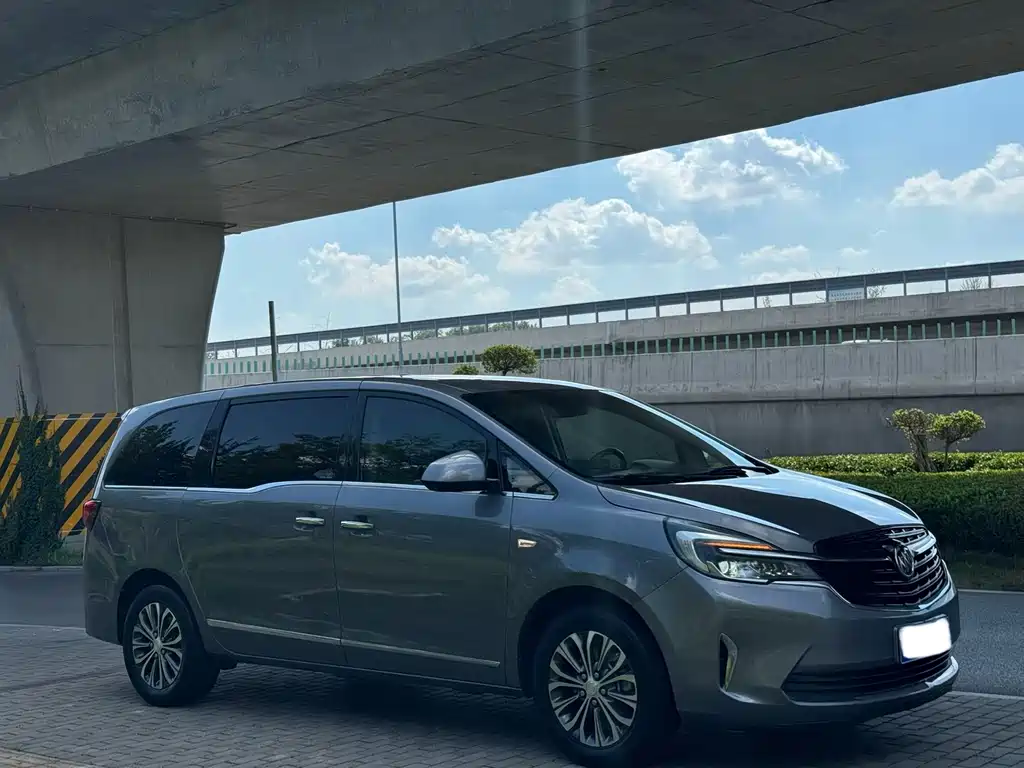 Buick GL8 — миниатюра 3