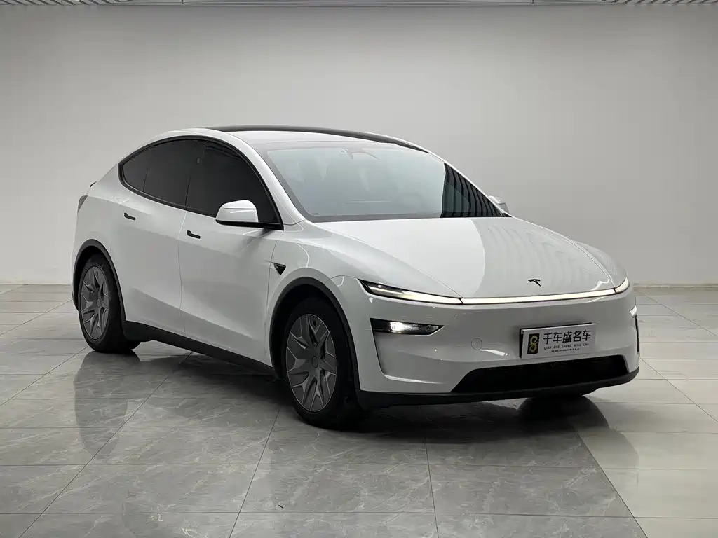 Tesla Model Y L — миниатюра 3