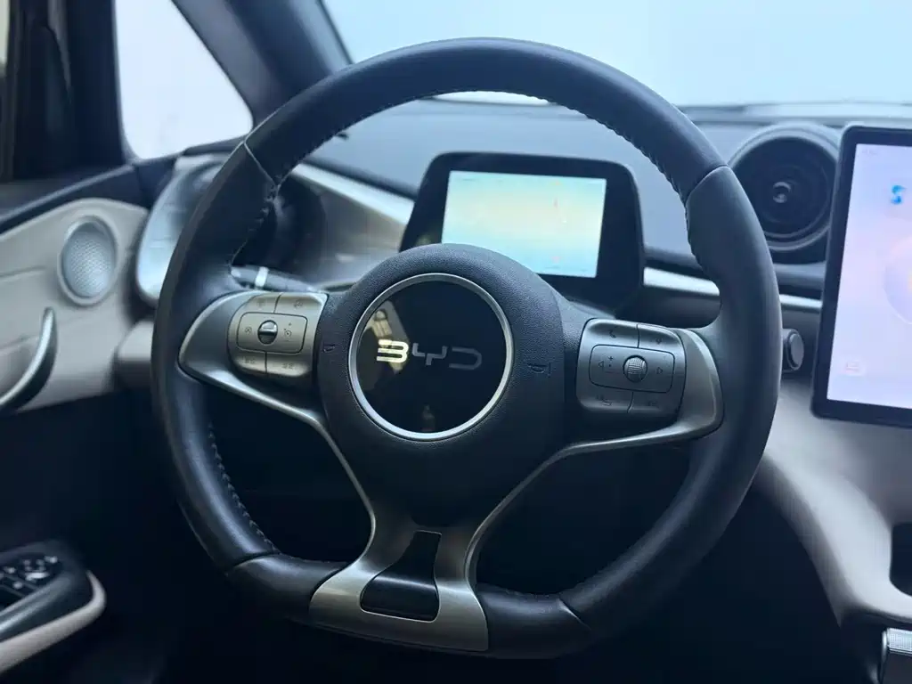 BYD Dolphin — миниатюра 12