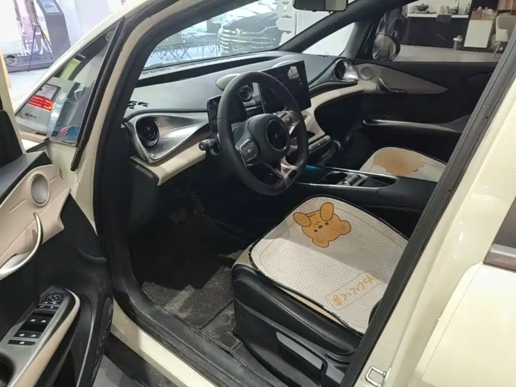 BYD Dolphin — миниатюра 16