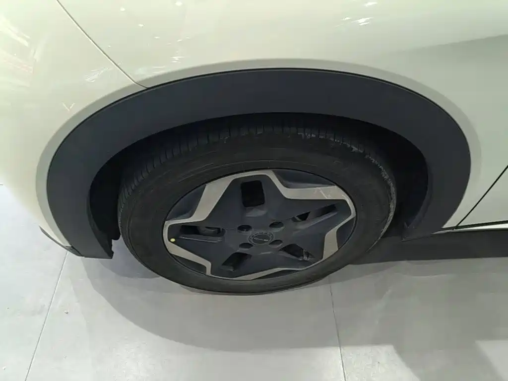 BYD Dolphin — миниатюра 23