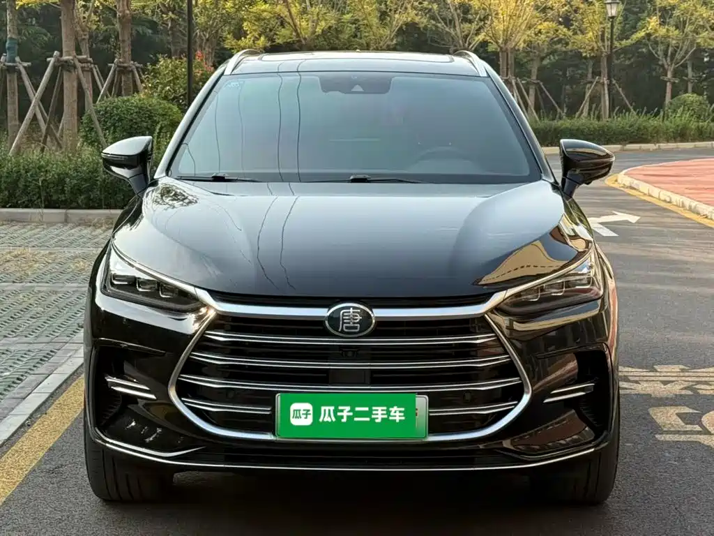 BYD Tang New Energy — миниатюра 3