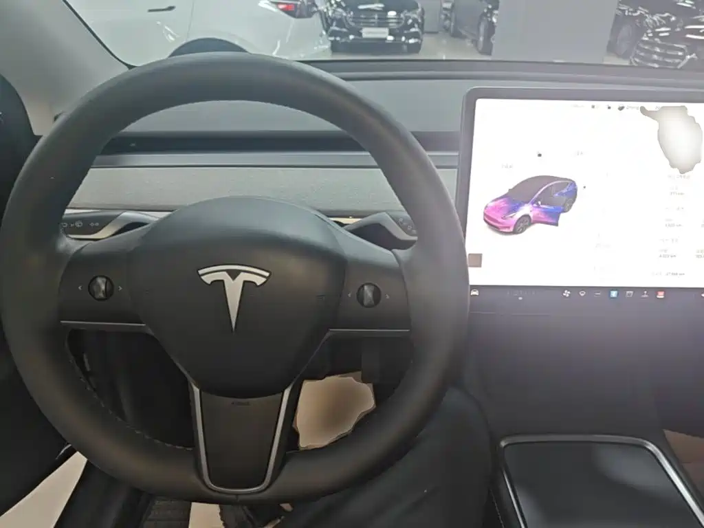 Tesla Model Y — миниатюра 10