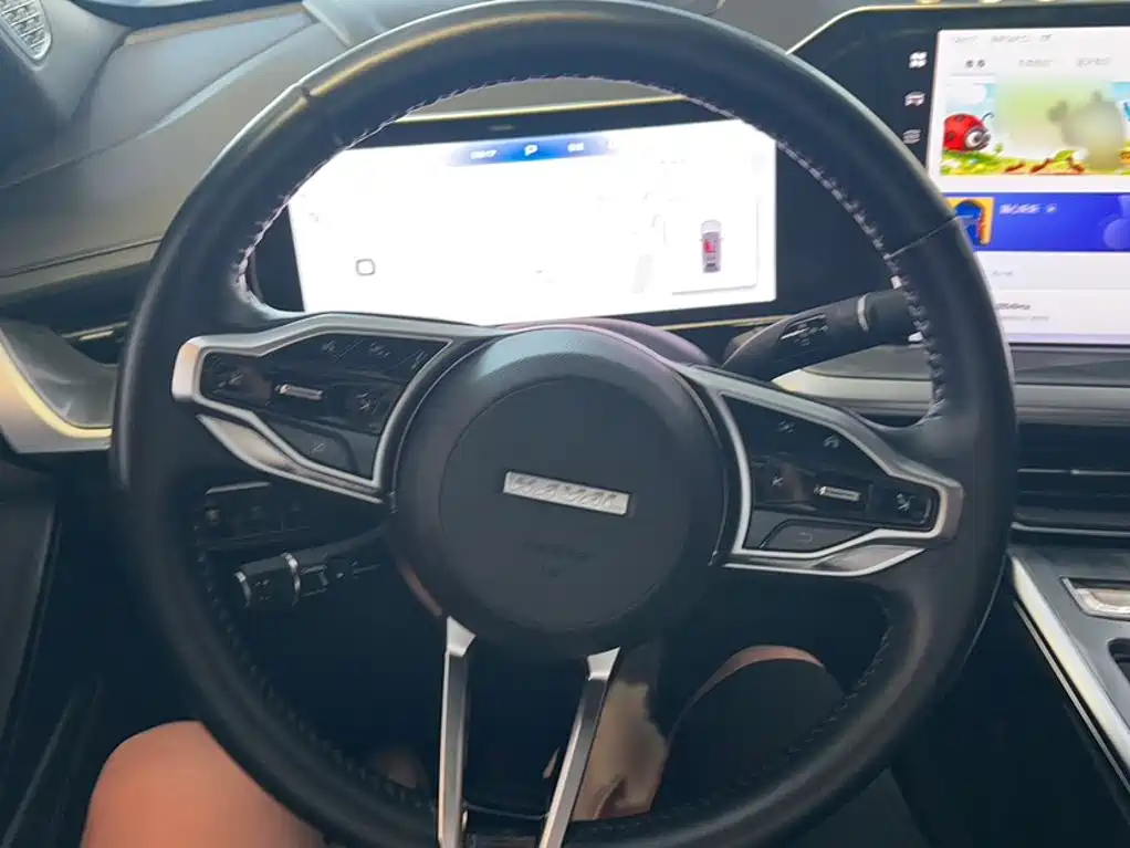 Haval Shenshou — миниатюра 4
