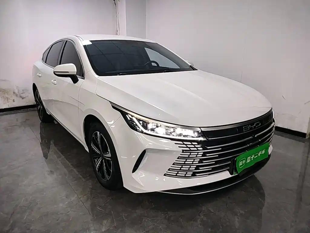 BYD Destroyer 05 — миниатюра 4