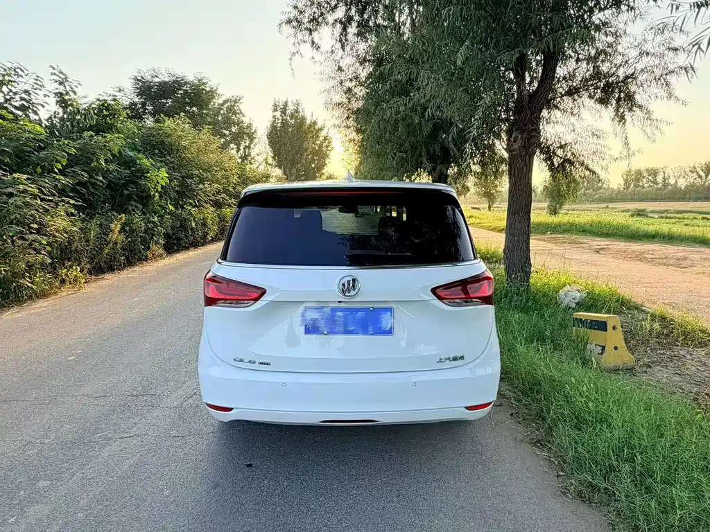Buick GL6 — миниатюра 8